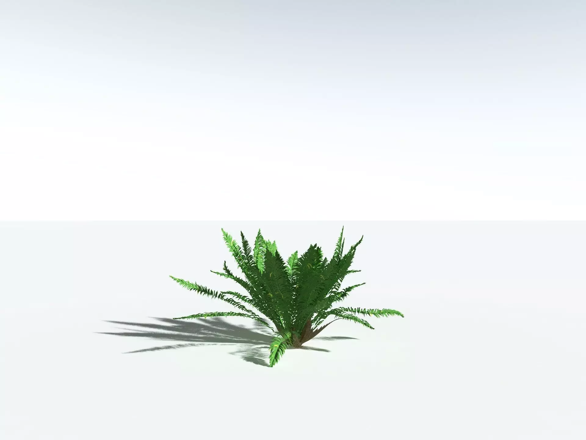 EVERYPlant Basket Fern 3D model_24