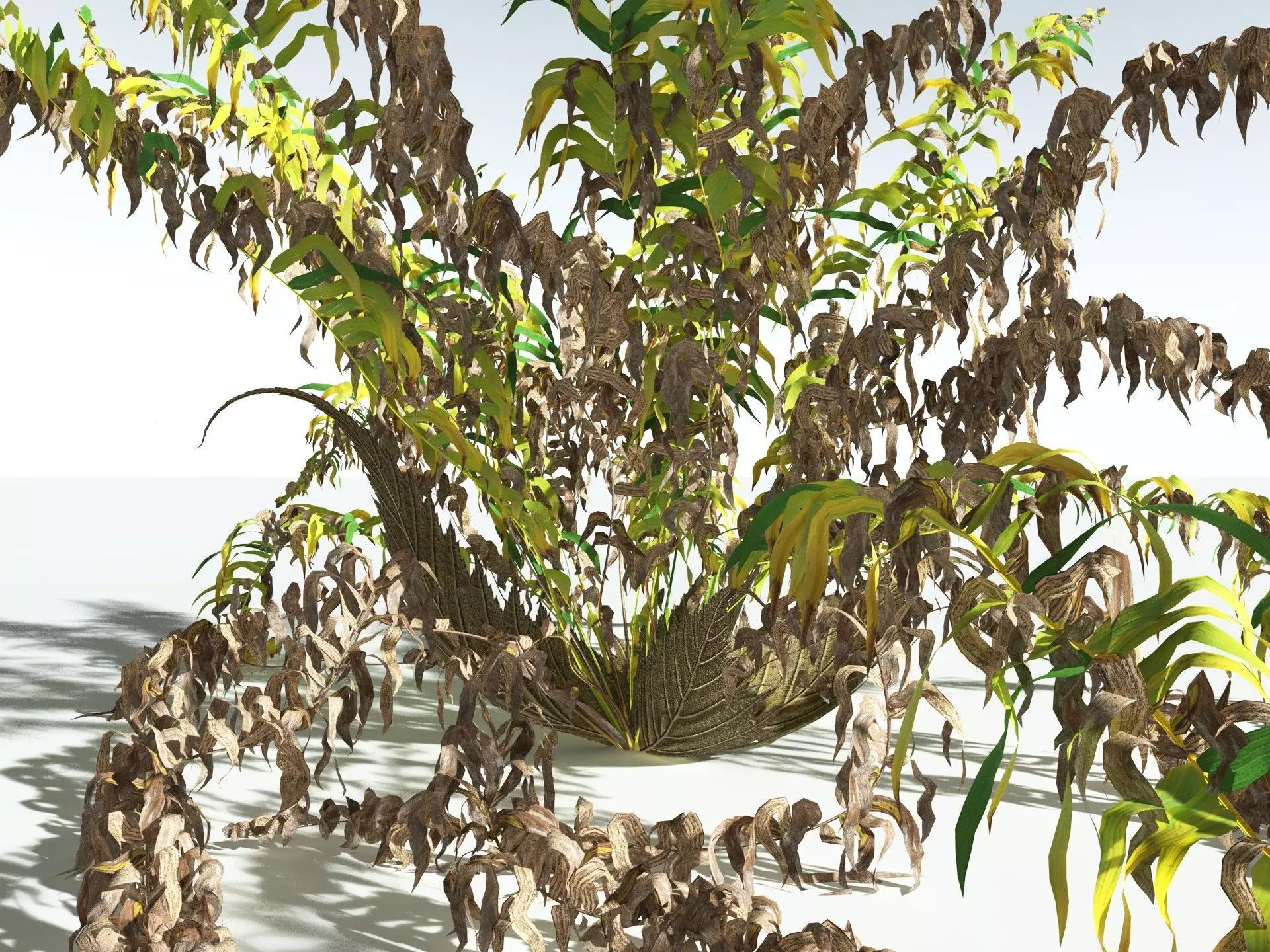 EVERYPlant Basket Fern 3D model_17