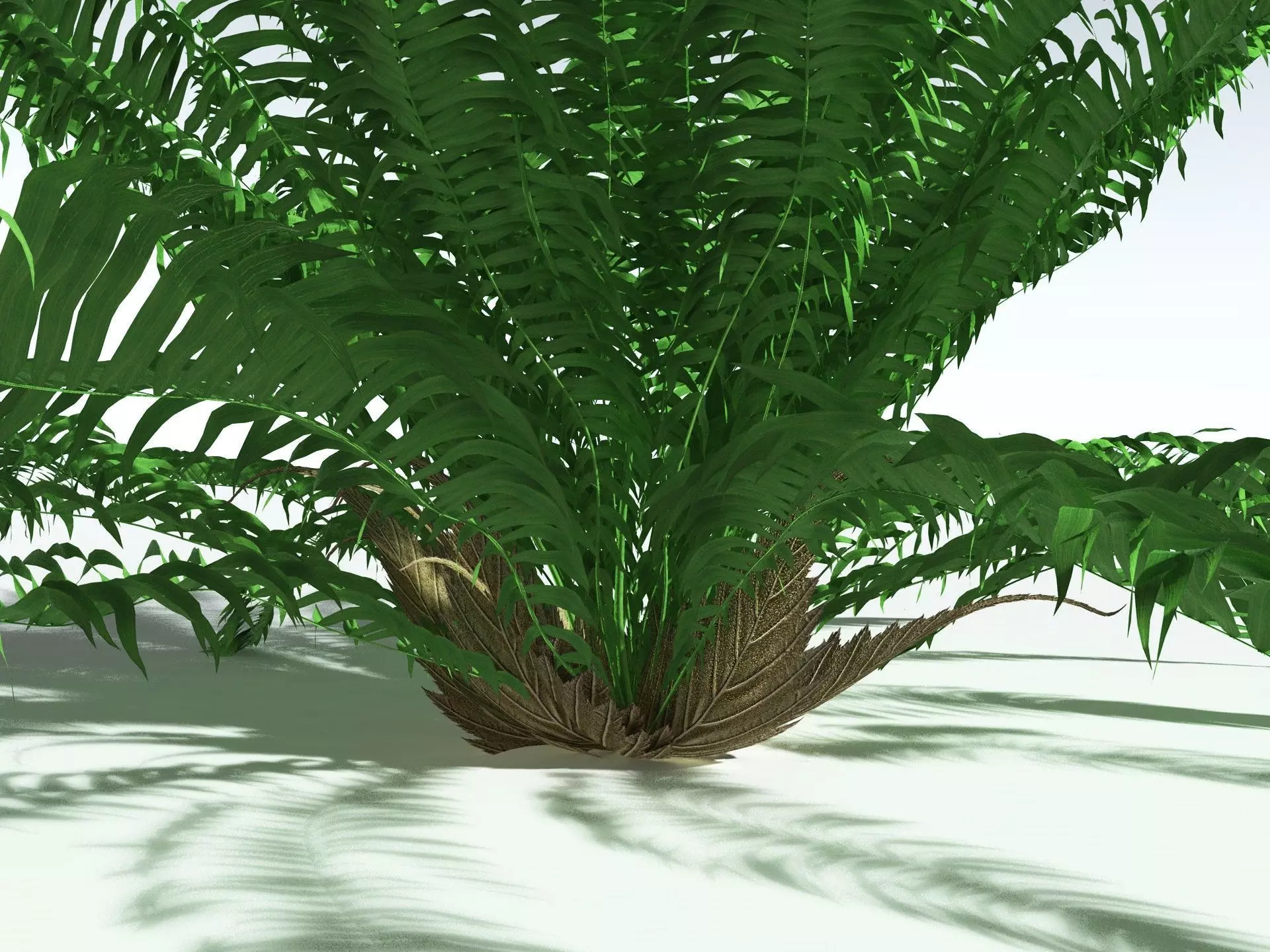 EVERYPlant Basket Fern 3D model_11