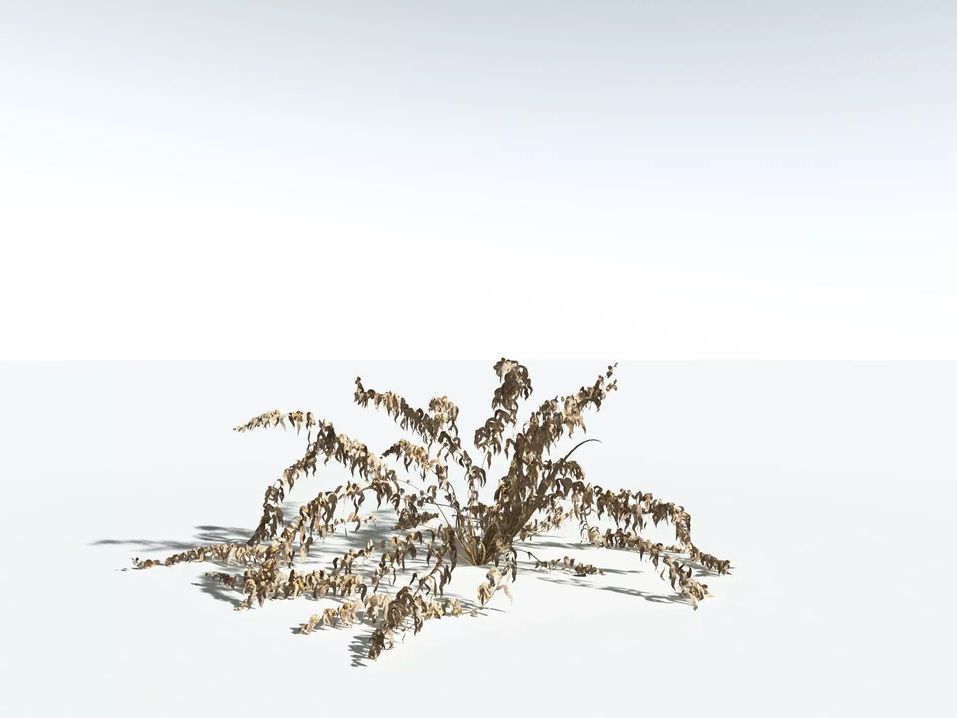 EVERYPlant Basket Fern 3D model_18