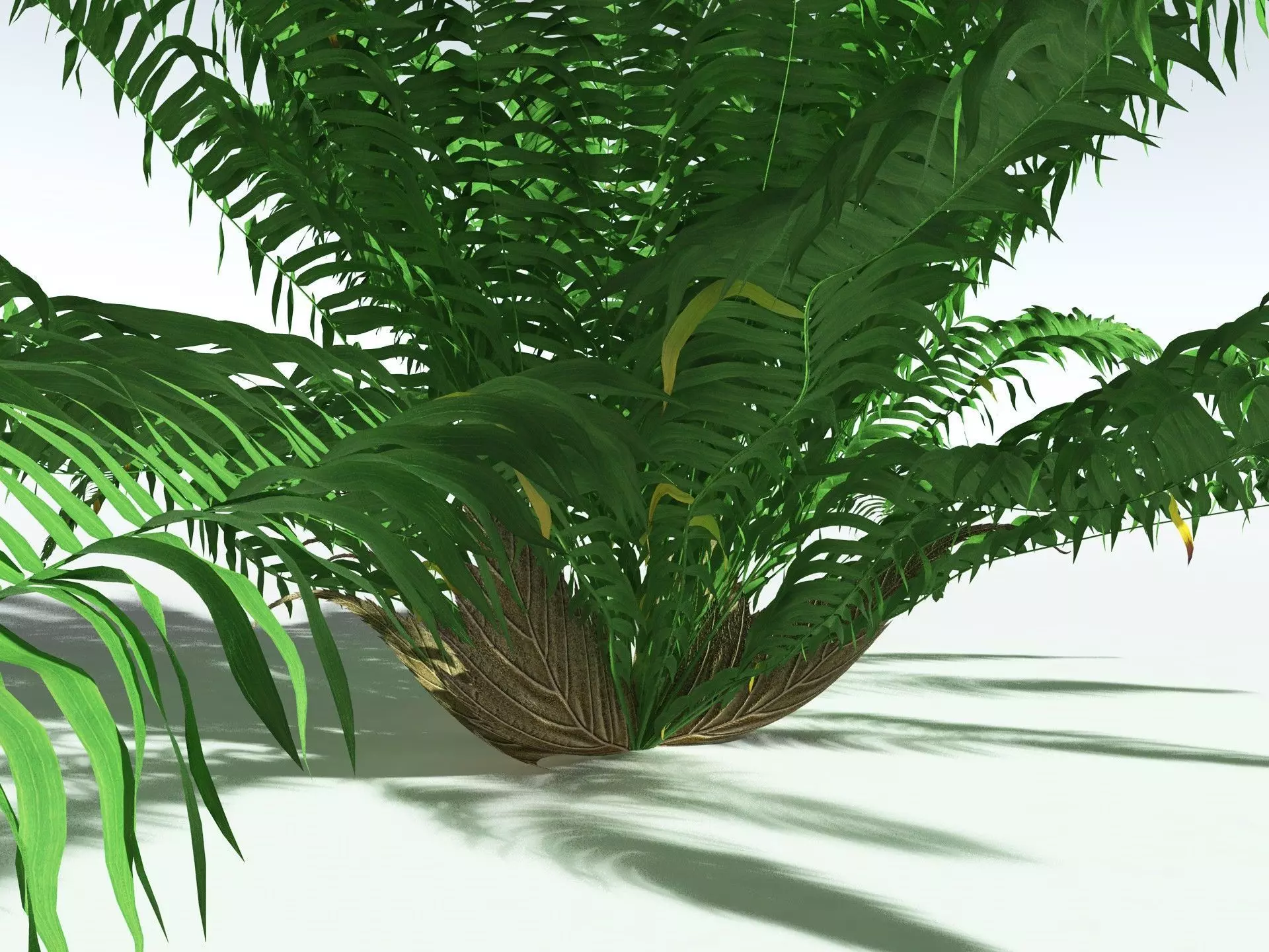 EVERYPlant Basket Fern 3D model_7