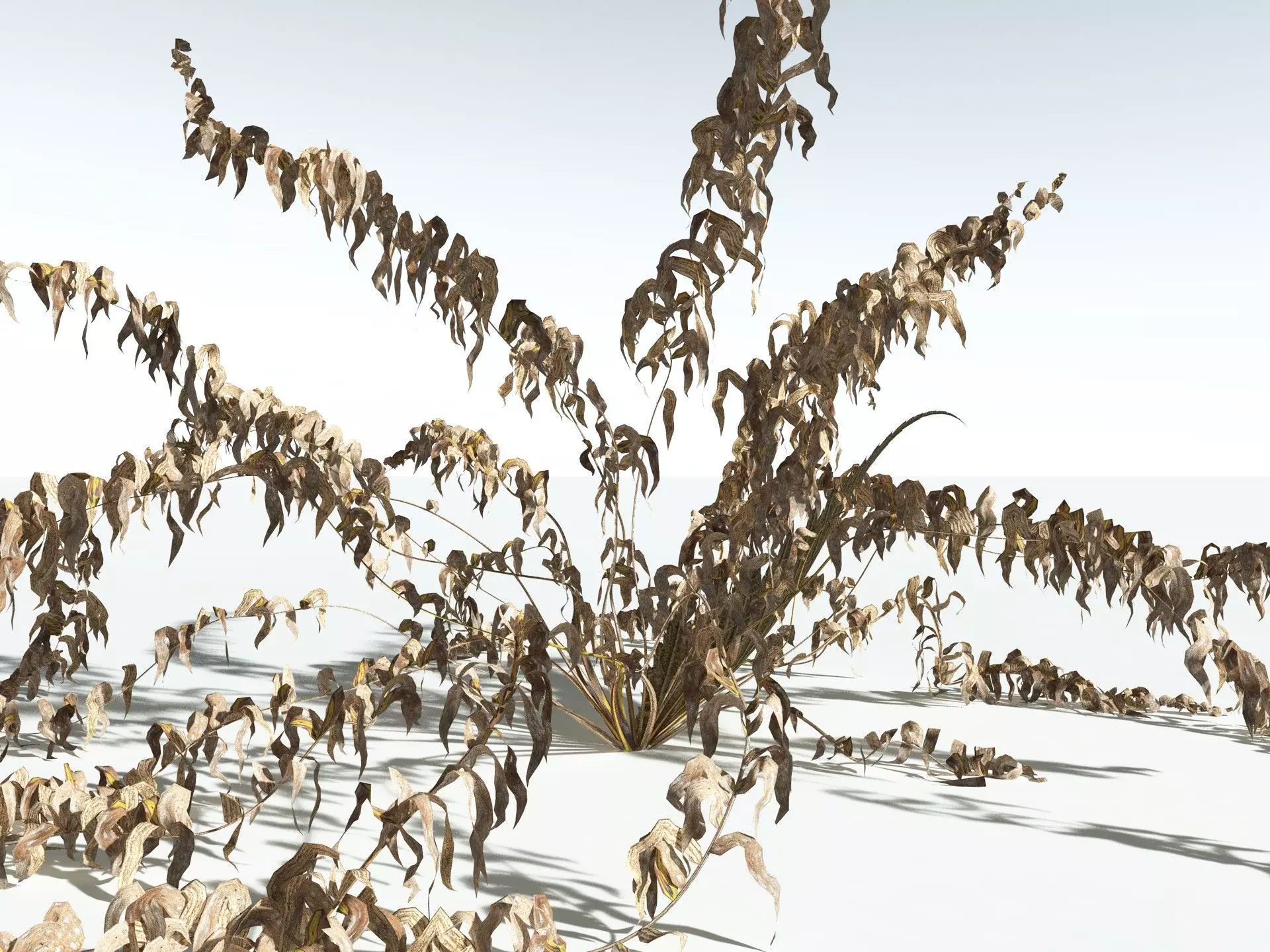 EVERYPlant Basket Fern 3D model_19