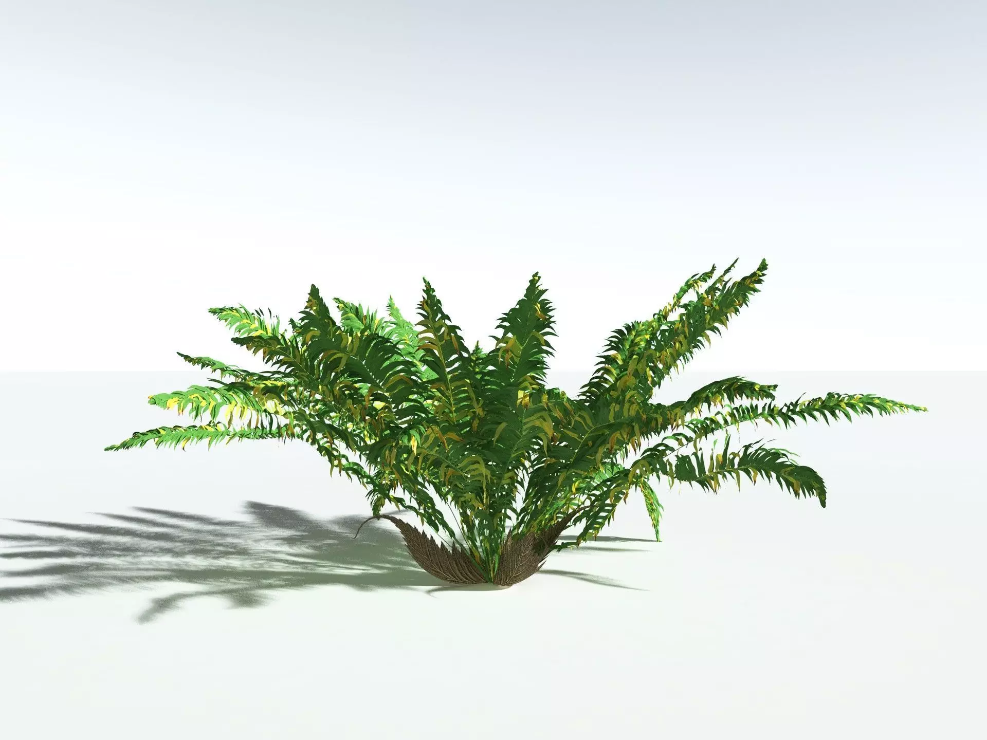 EVERYPlant Basket Fern 3D model_12