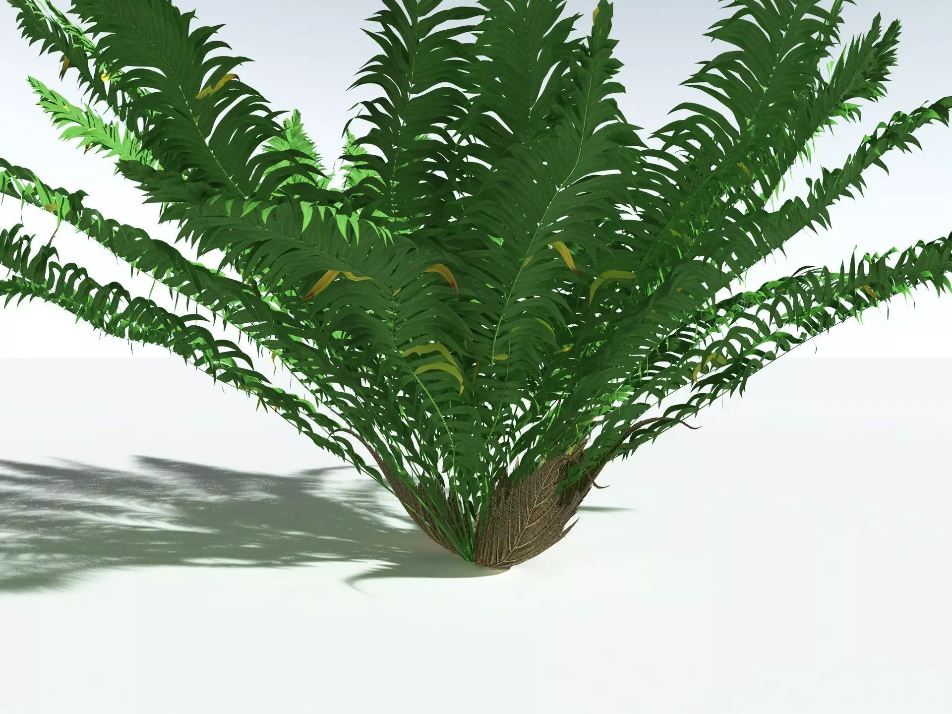 EVERYPlant Basket Fern 3D model_23