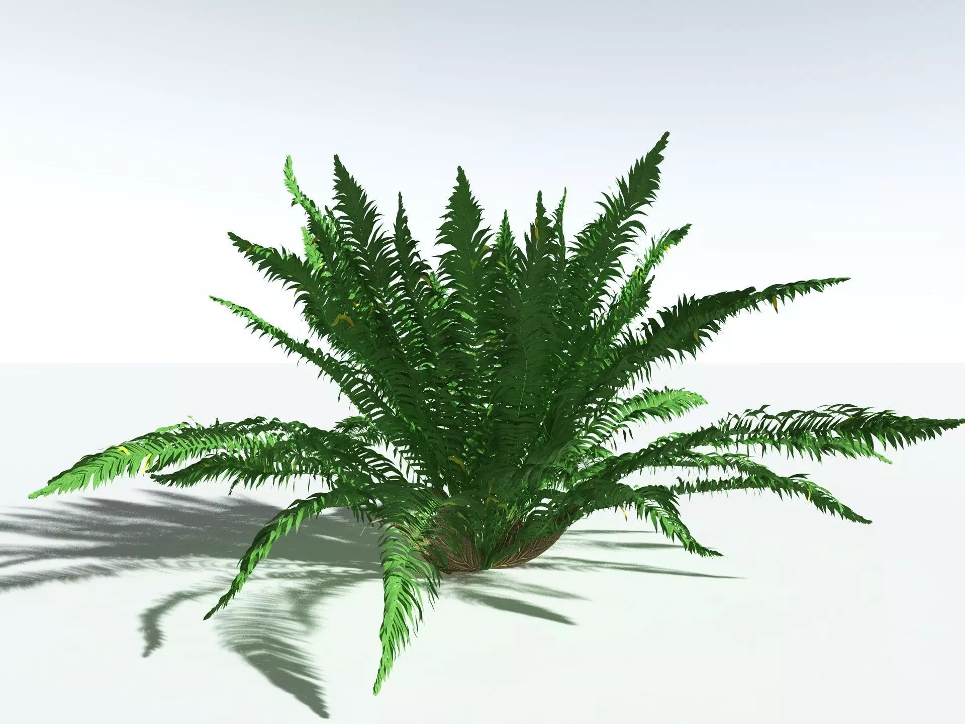 EVERYPlant Basket Fern 3D model_6