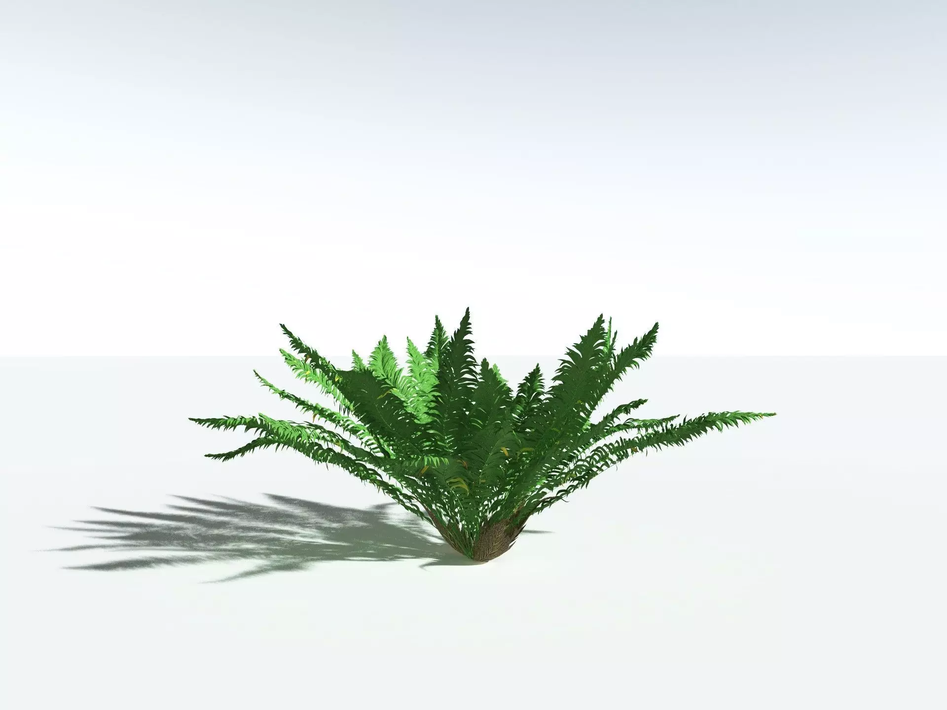 EVERYPlant Basket Fern 3D model_22