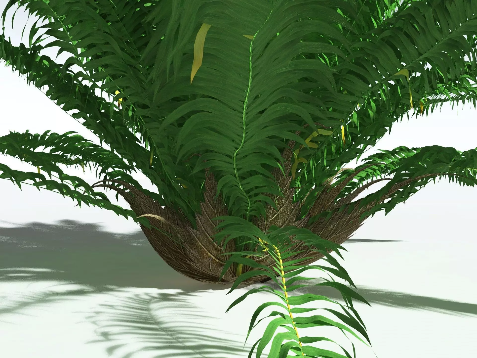 EVERYPlant Basket Fern 3D model_5