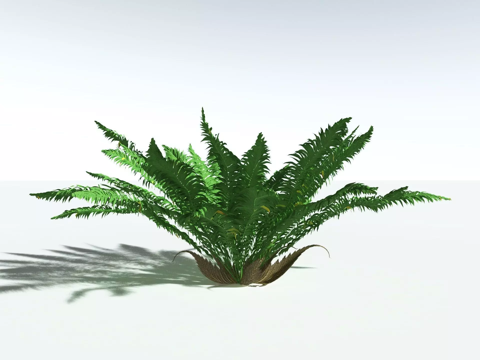 EVERYPlant Basket Fern 3D model_2