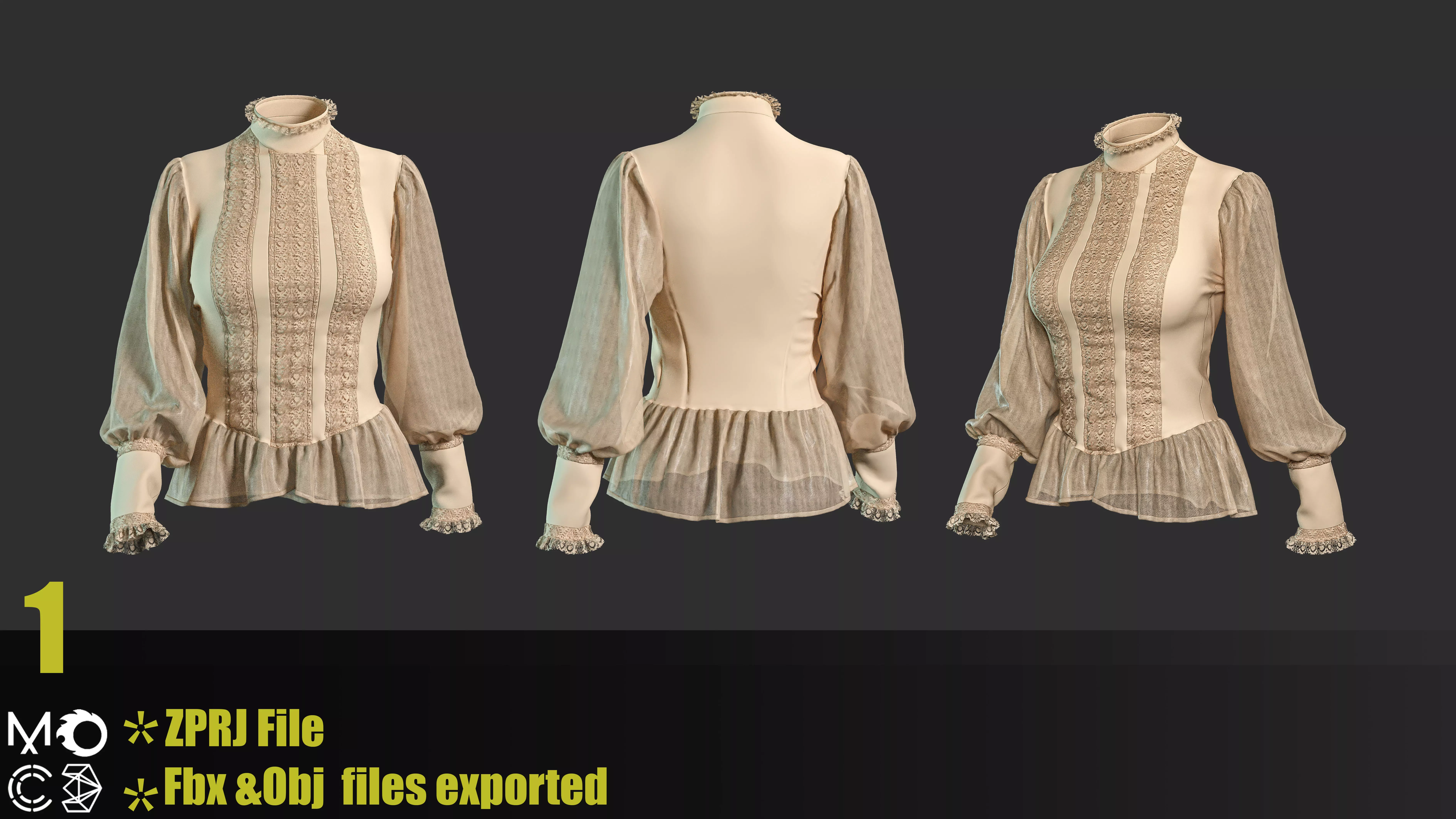 6 Victorian Female Blouses 3D model_1