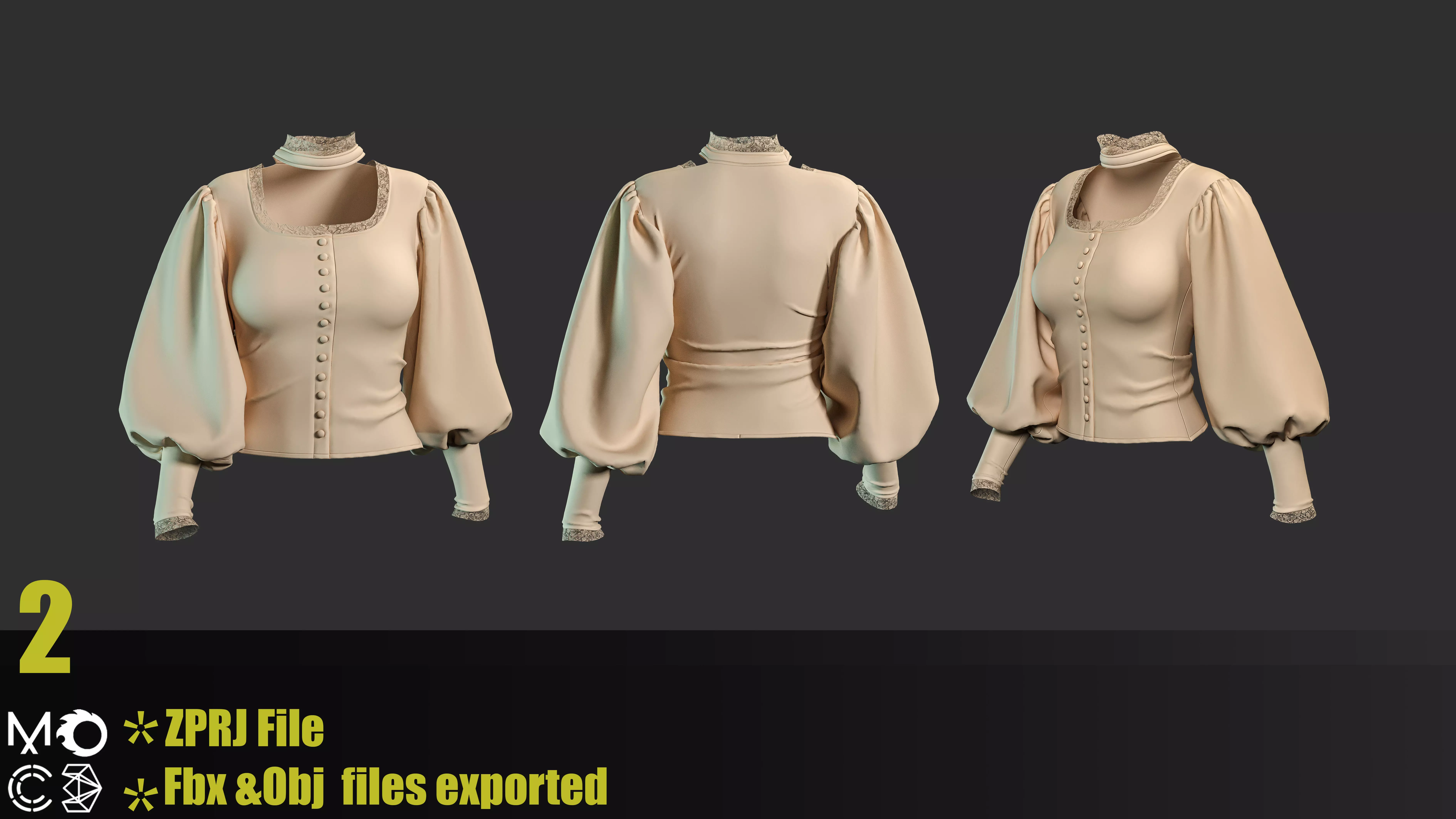 6 Victorian Female Blouses 3D model_2