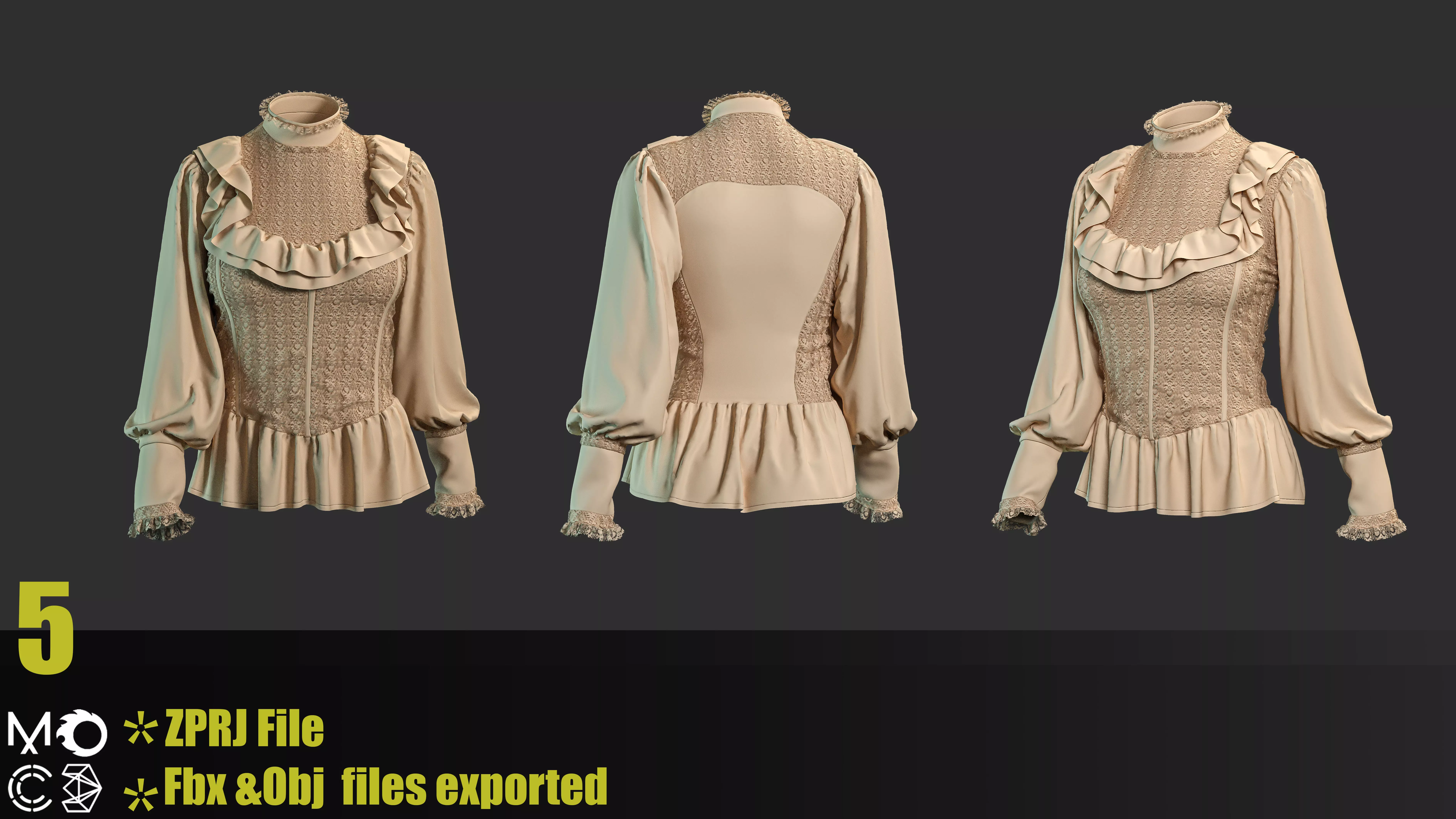 6 Victorian Female Blouses 3D model_5