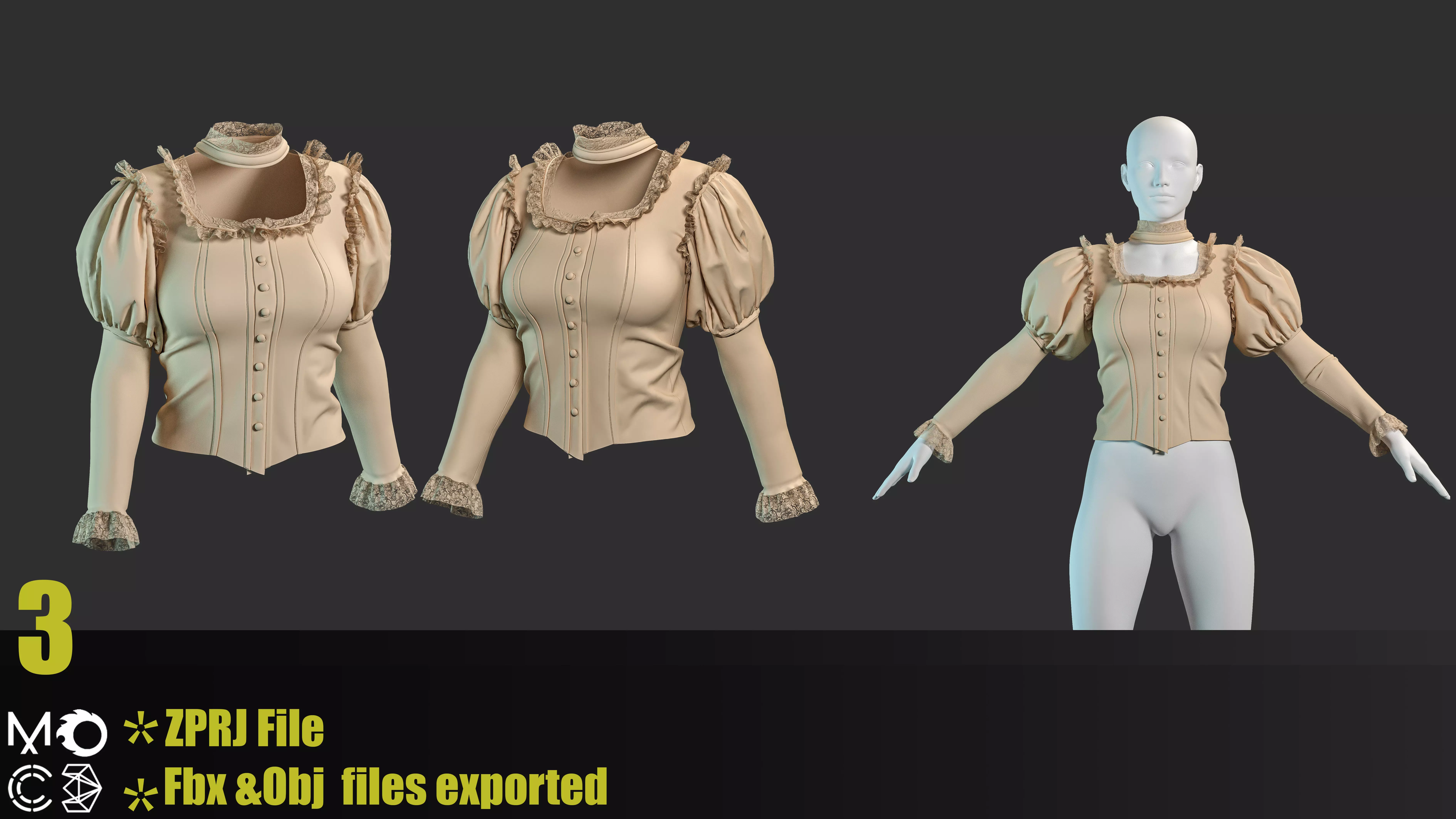 6 Victorian Female Blouses 3D model_3