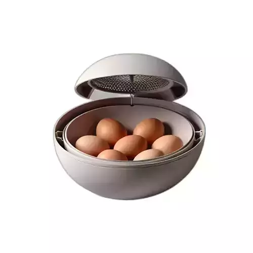 Modern Electric Egg Cooker Appliance