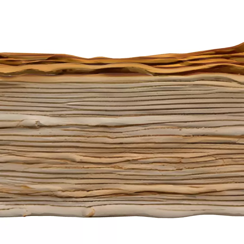 Vintage Stacked Old Papers Low-poly 3D model_4