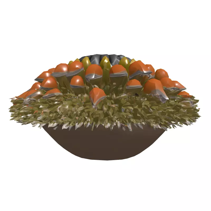 Banksia Exotic Flower Head 3D Model Low-poly 3D model_4