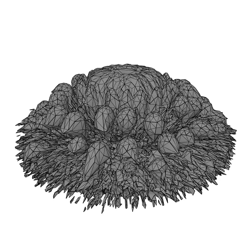 Banksia Exotic Flower Head 3D Model Low-poly 3D model_9