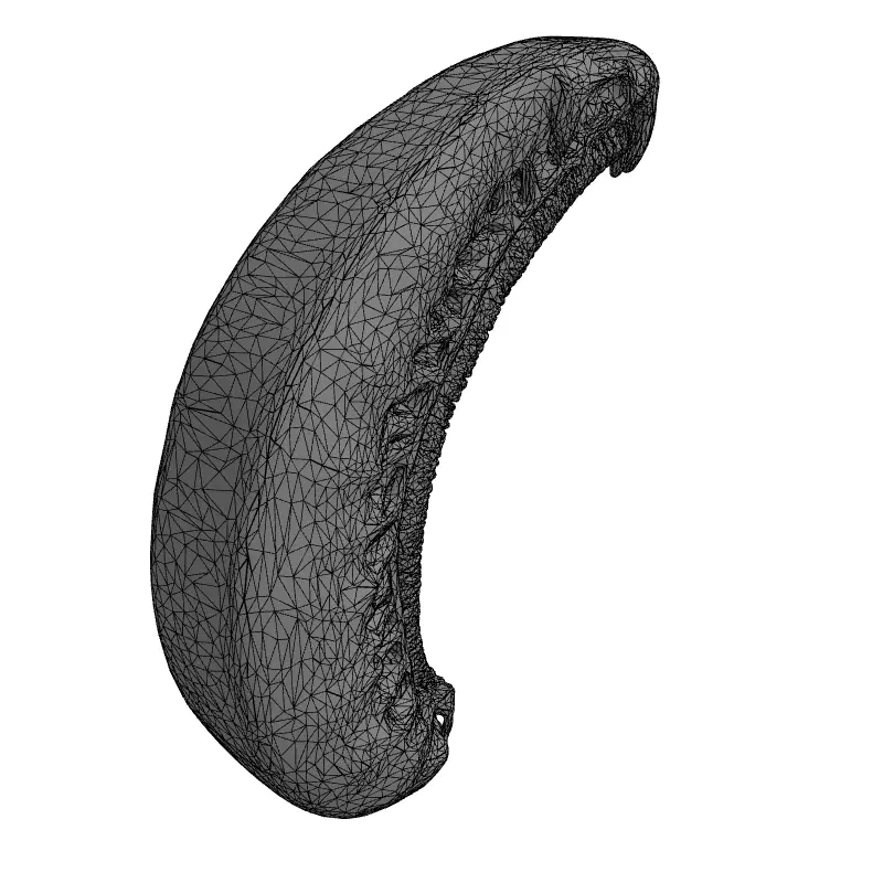 SciFi Biomechanical Segmented Alien Larva Low-poly 3D model_1