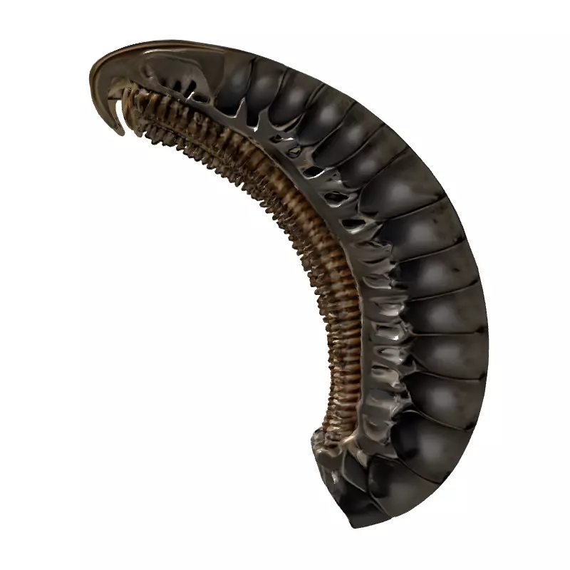 SciFi Biomechanical Segmented Alien Larva Low-poly 3D model_7