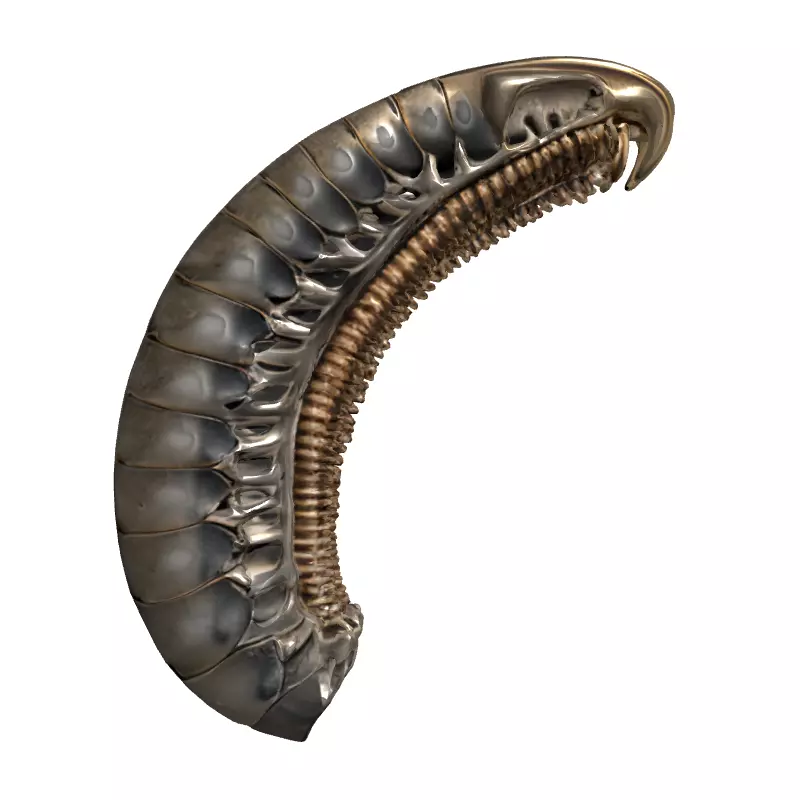 SciFi Biomechanical Segmented Alien Larva Low-poly 3D model_4