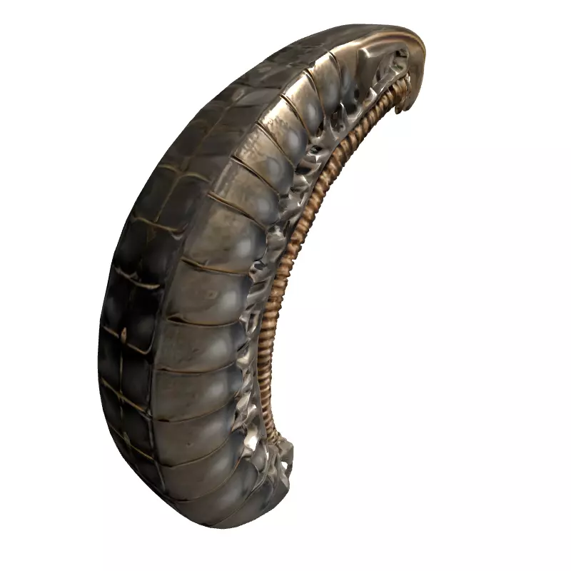 SciFi Biomechanical Segmented Alien Larva Low-poly 3D model_3