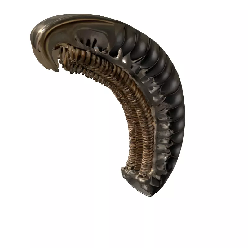 SciFi Biomechanical Segmented Alien Larva Low-poly 3D model_5