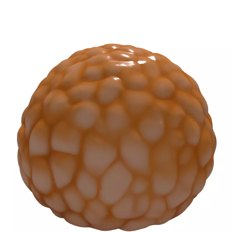 Realistic Lychee Fruit 3D Model Low-poly 3D model_6