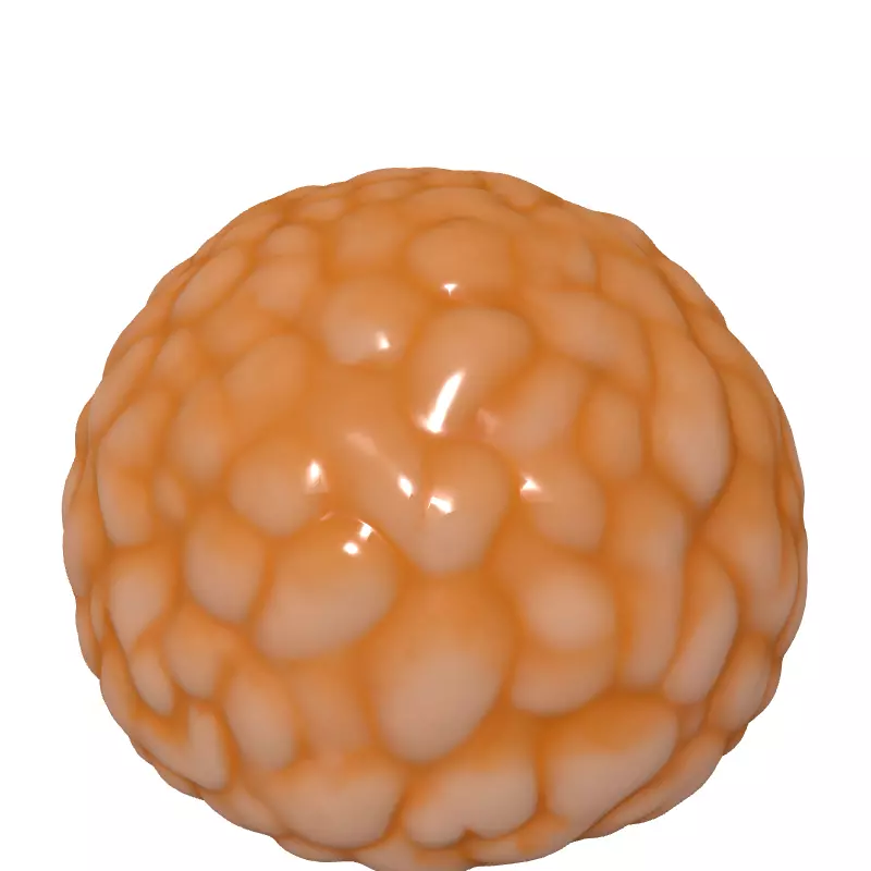 Realistic Lychee Fruit 3D Model Low-poly 3D model_2