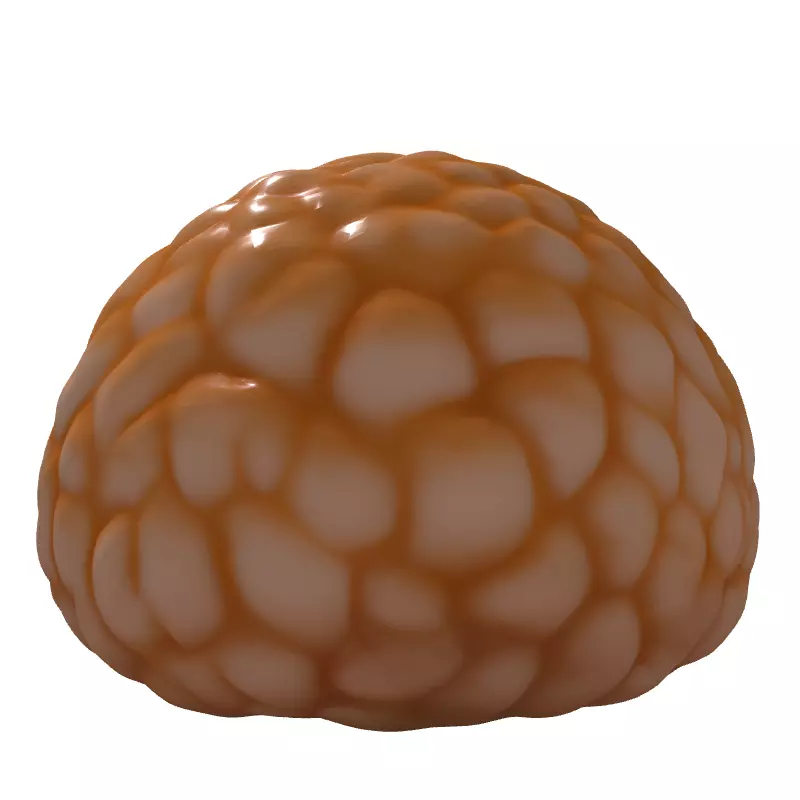 Realistic Lychee Fruit 3D Model Low-poly 3D model_7