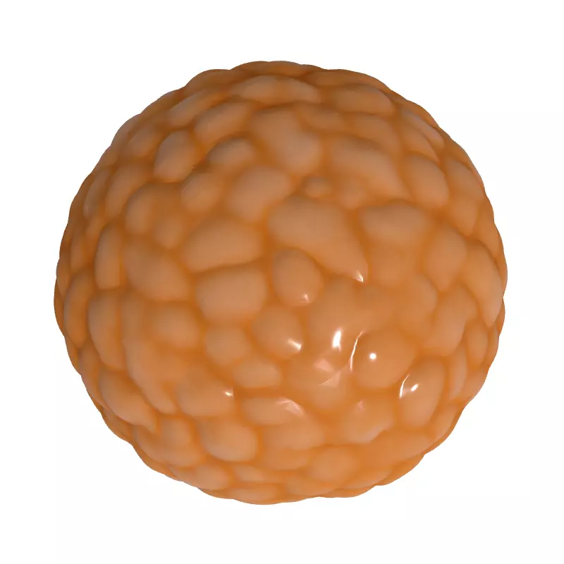 Realistic Lychee Fruit 3D Model Low-poly 3D model_8