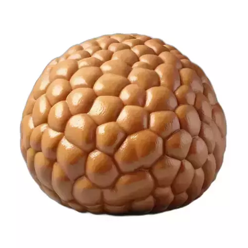 Realistic Lychee Fruit 3D Model Low-poly 3D model Realistic Lychee Fruit 3D Model Low-poly 3D model