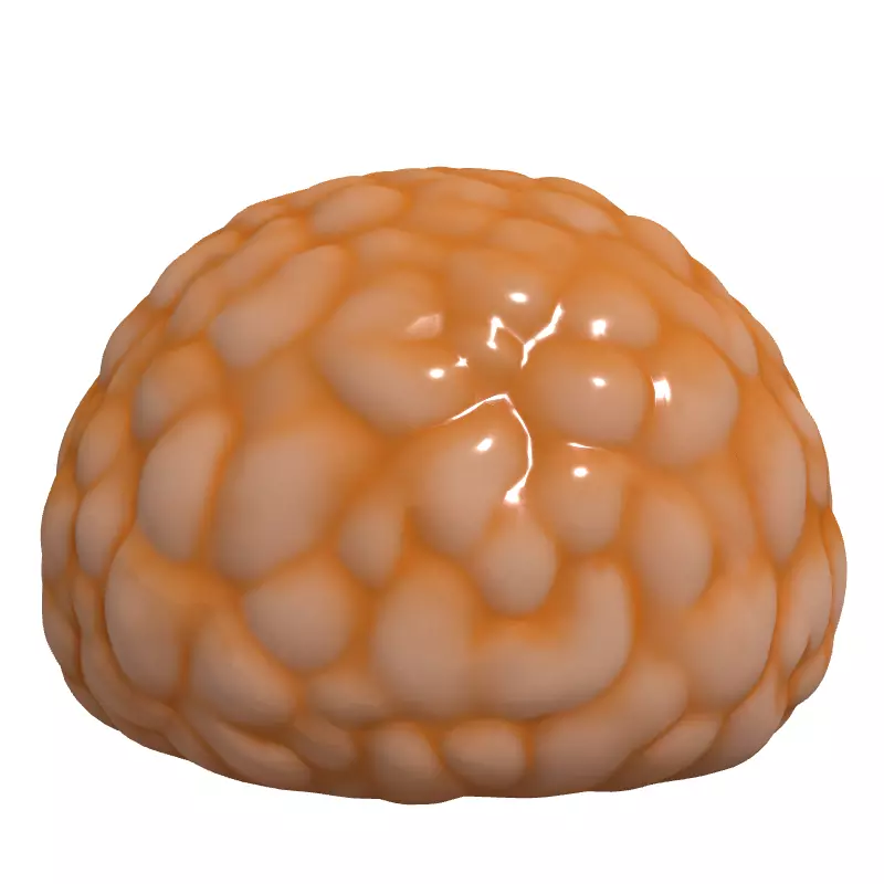 Realistic Lychee Fruit 3D Model Low-poly 3D model_4