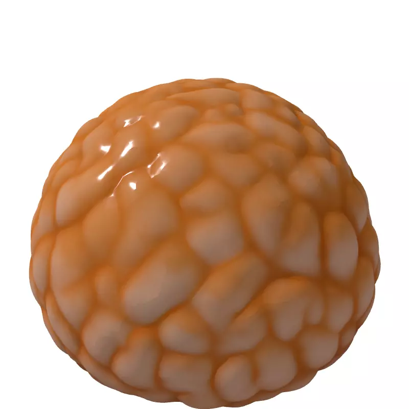 Realistic Lychee Fruit 3D Model Low-poly 3D model_5
