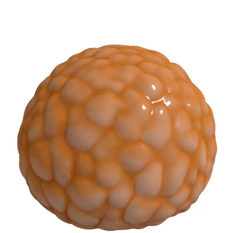 Realistic Lychee Fruit 3D Model Low-poly 3D model_3