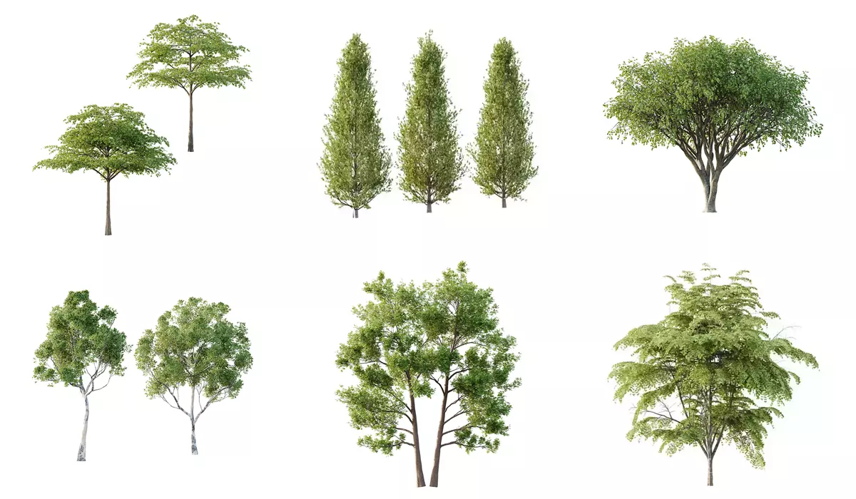 Excellent collection of Tree plants 11 Different Models 009 _0
