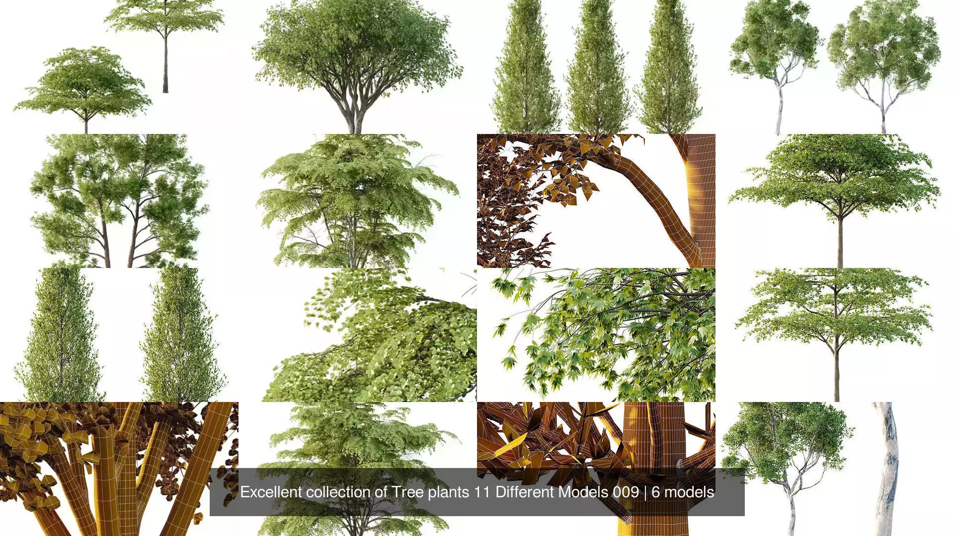 Excellent collection of Tree plants 11 Different Models 009 _1