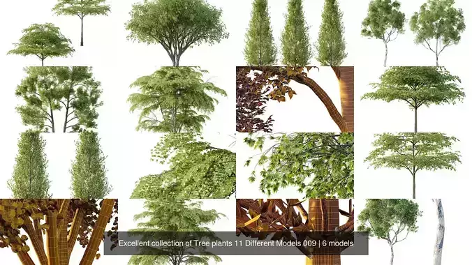 Excellent collection of Tree plants 11 Different Models 009