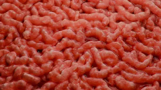 Raw Minced Meat PBR Texture Texture