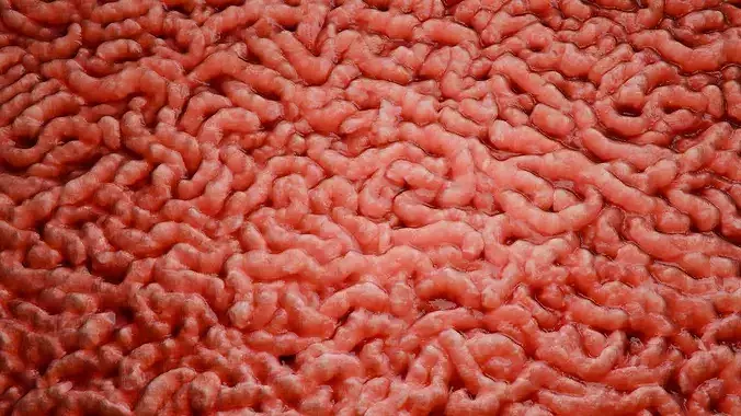 Raw Minced Meat PBR Texture Texture 3