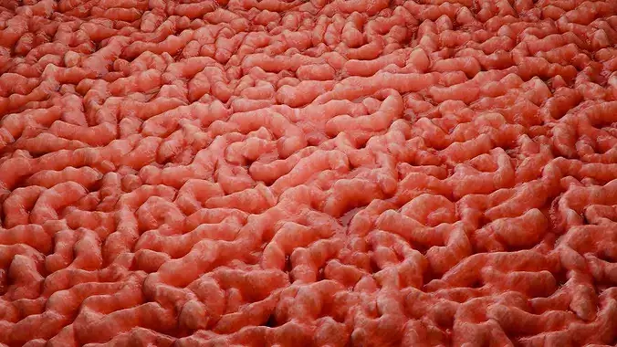 Raw Minced Meat PBR Texture Texture 2