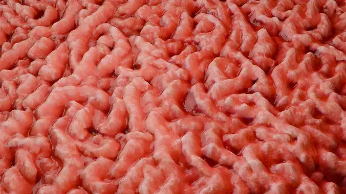 Raw Minced Meat PBR Texture Texture 5