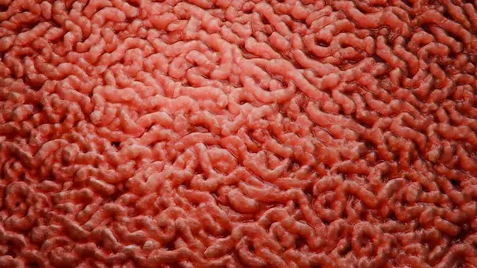 Raw Minced Meat PBR Texture Texture 6