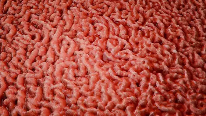 Raw Minced Meat PBR Texture Texture 4