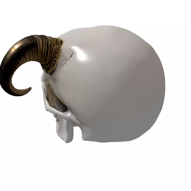 Demonic Horned Skull Low-poly 3D model_5