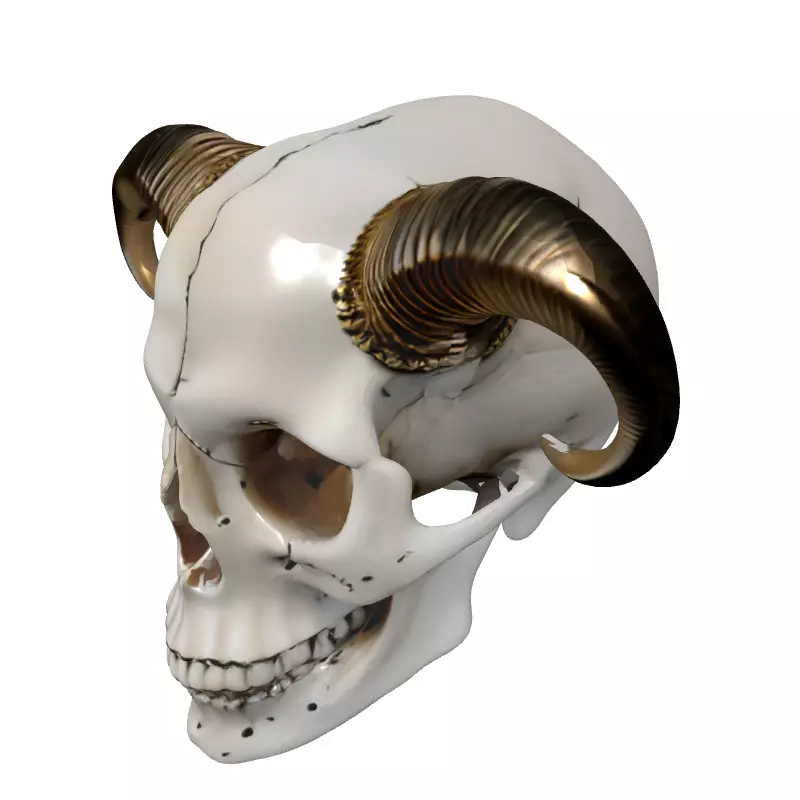 Demonic Horned Skull Low-poly 3D model_2