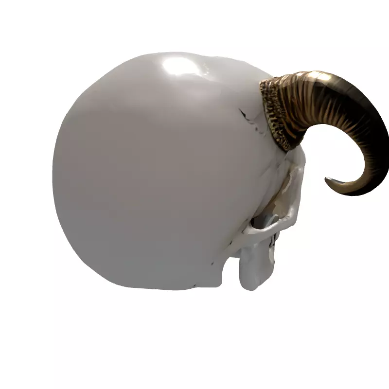 Demonic Horned Skull Low-poly 3D model_6