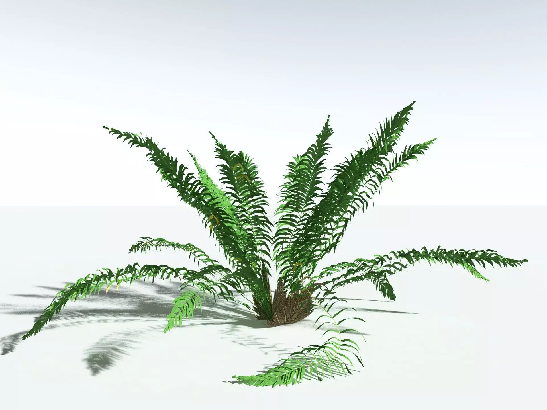 EVERYPlant Basket Fern LowPoly Low-poly 3D model_0