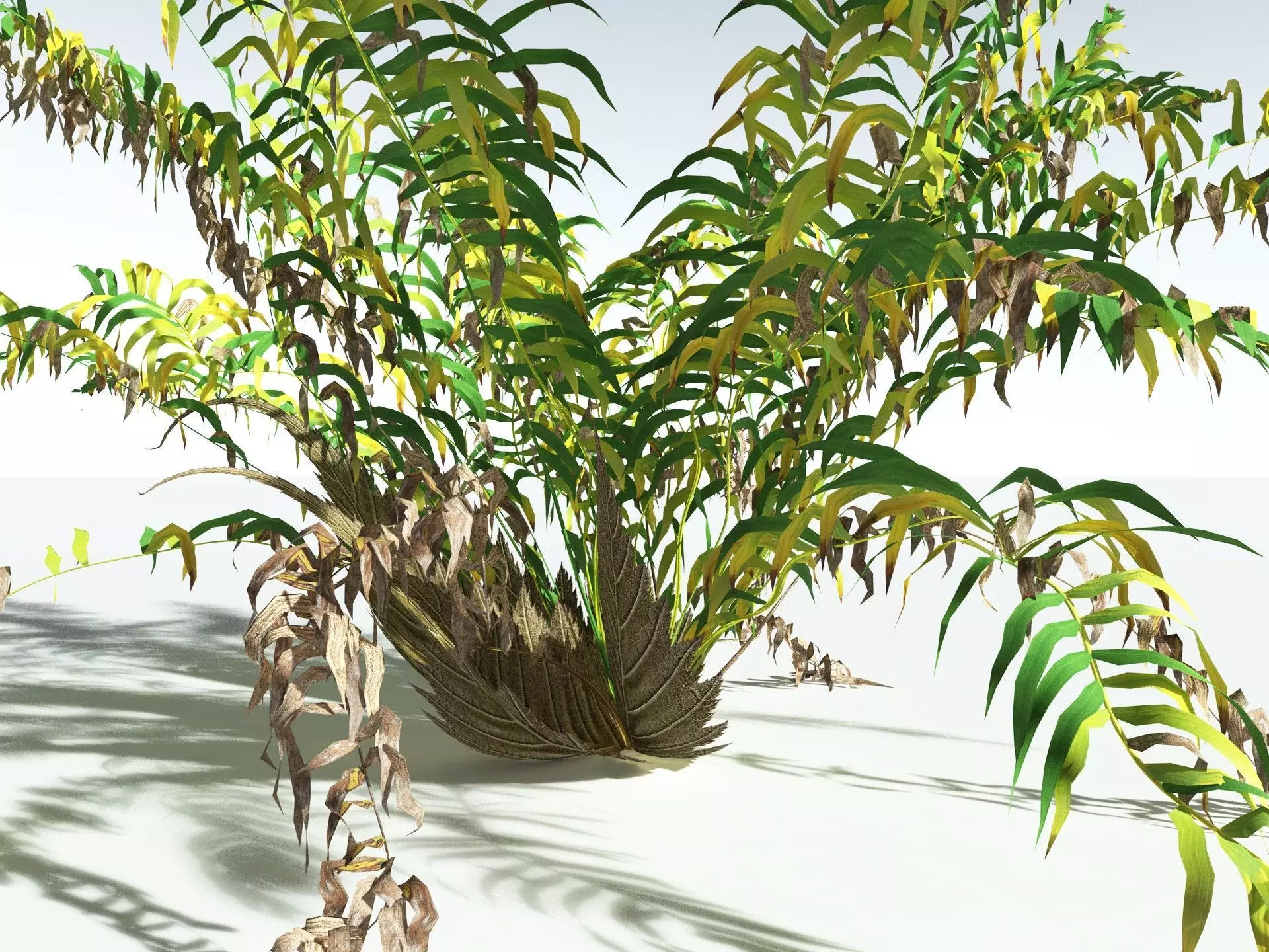 EVERYPlant Basket Fern LowPoly Low-poly 3D model_15