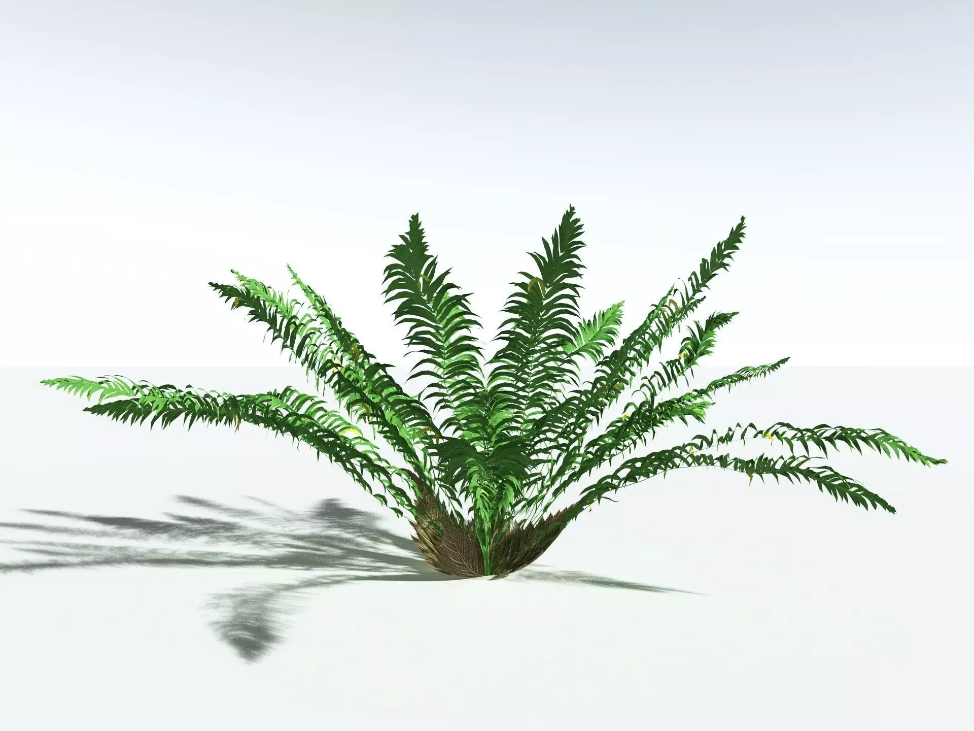 EVERYPlant Basket Fern LowPoly Low-poly 3D model_8