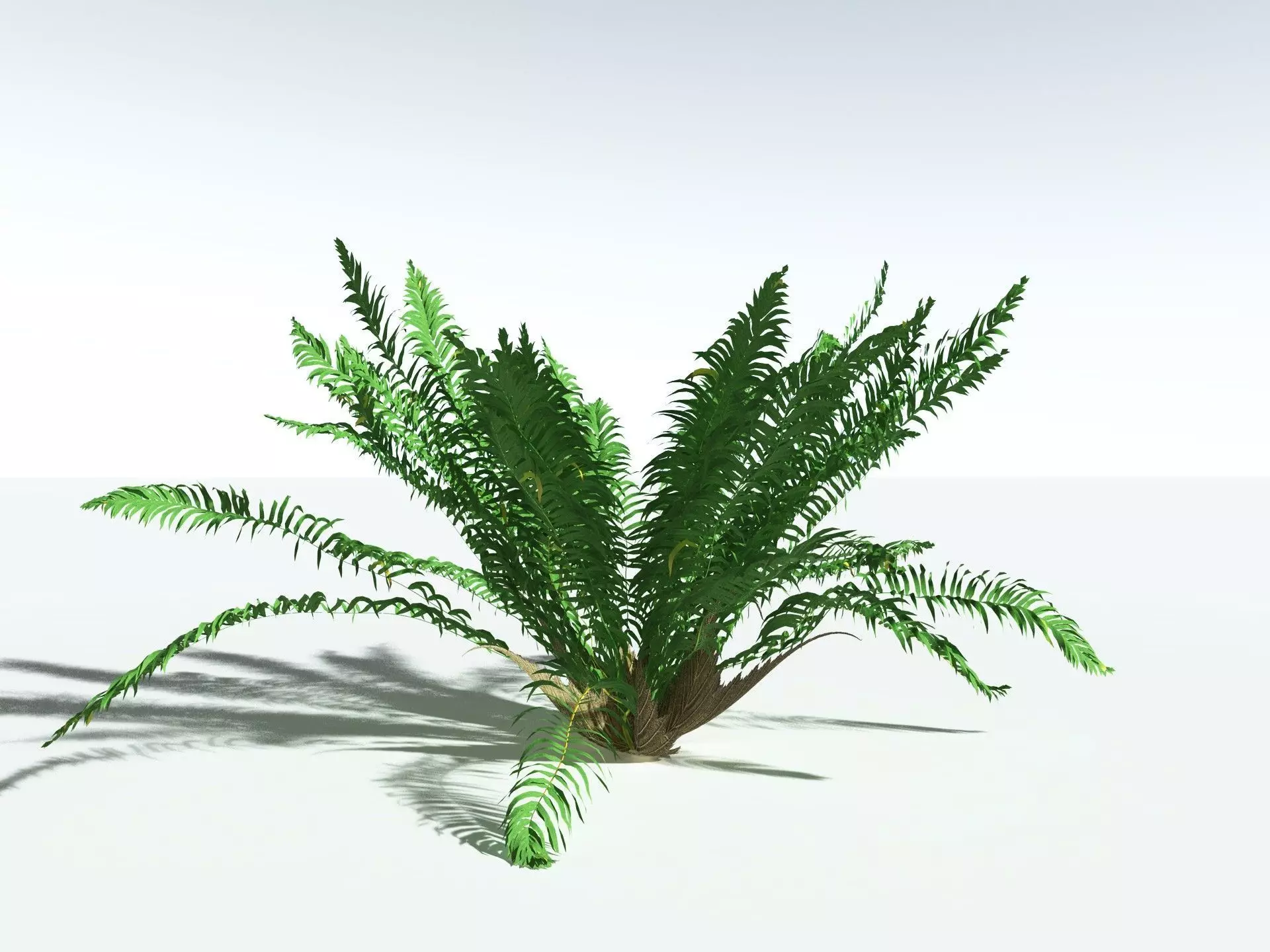 EVERYPlant Basket Fern LowPoly Low-poly 3D model_4