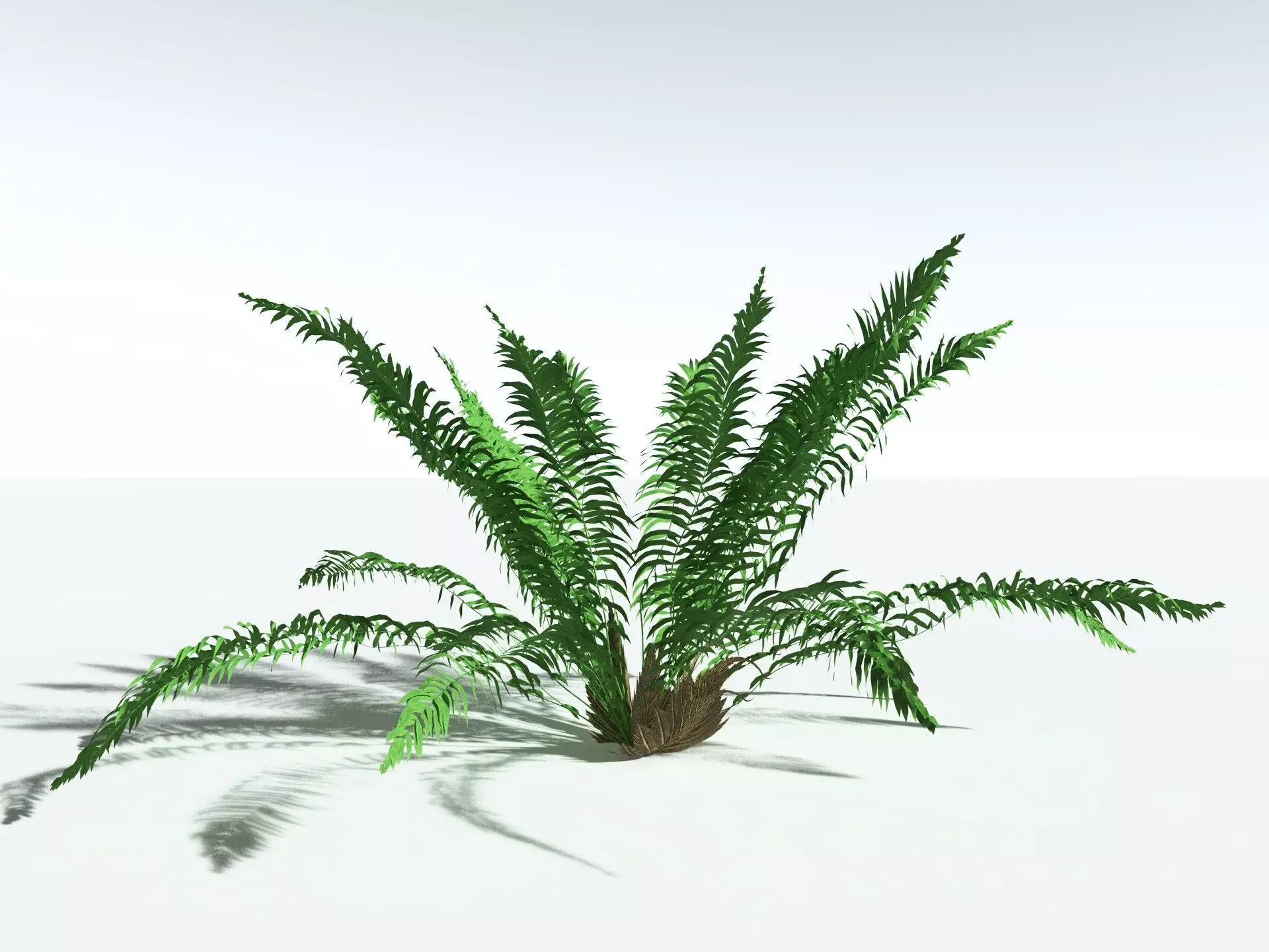 EVERYPlant Basket Fern LowPoly Low-poly 3D model_10